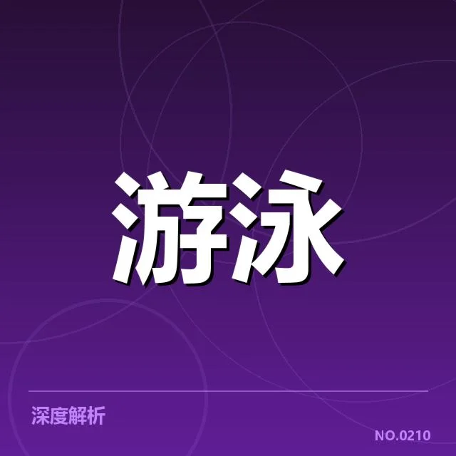 深度剖析中国女排备战周期训练安排背后,运动员成长与团队策略之谜